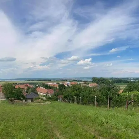 Prazdninovy Dum Na Palave S Vinnym Sklepem