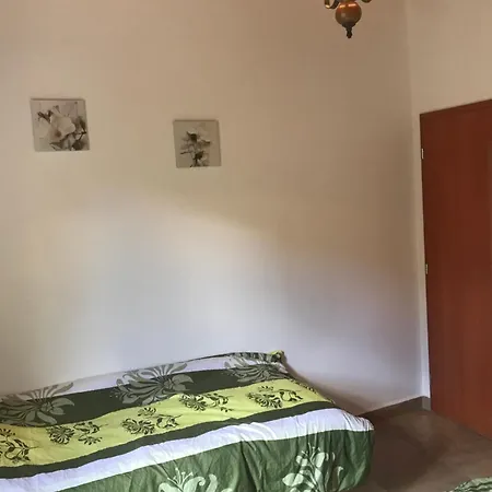 Dom wakacyjny Prazdninovy Dum Na Palave S Vinnym Sklepem *