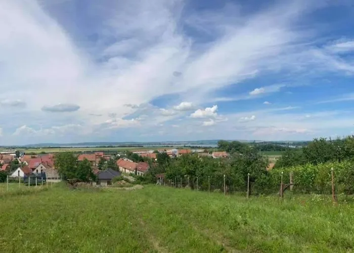 Prazdninovy Dum Na Palave S Vinnym Sklepem